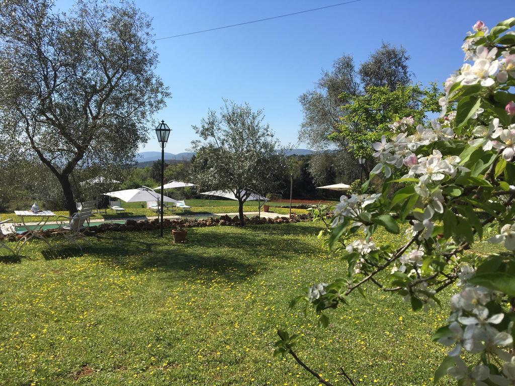 מונטריג'יוני La Canonica Di San Michele מראה חיצוני תמונה